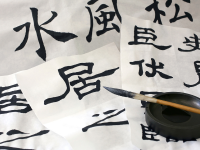 薄っぺらい１枚